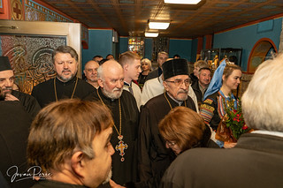 Patriarch Porfirije at St. George Church, Indiana