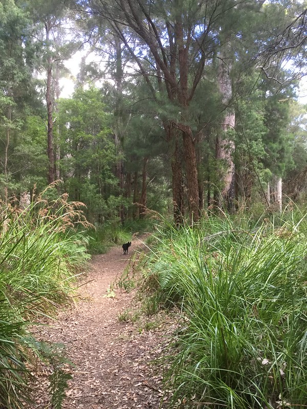 Mt Clare/Deep River Loop, Nuyts Wilderness - South Coast, Western Australia