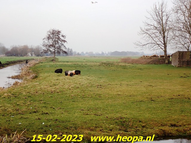 2023-02-15  Schoonhoven (89)