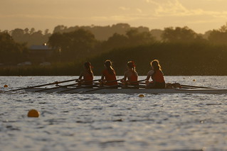 Scullers At Sunrise