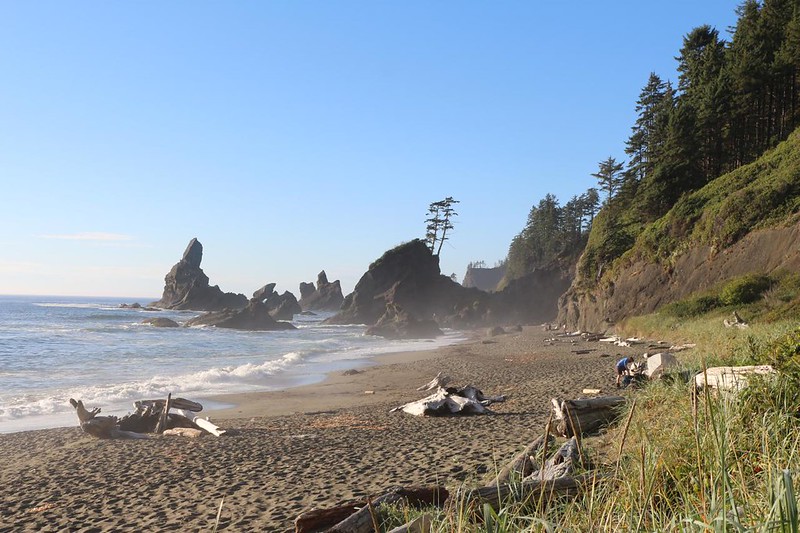 Shi Shi Beach - the wilderness permit says that you can camp anywhere along a two mile stretch of beach