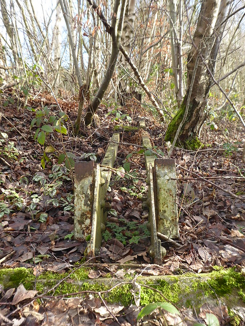 P1960337    Remains of rail electrification support near Godley Junction   (former Godley to Apethorn line, Hyde)    February 2023