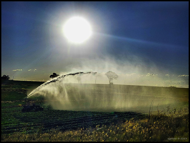 backlit irrigation3