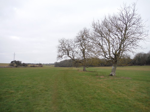 The last 100 metres to the Source of The Thames SWC Walk 256 - Kemble Circular (via Thames Head and Cirencester)