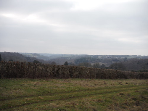 The Golden Valley, from Bishop's Ride, Sapperton SWC Walk 256 - Kemble Circular (via Thames Head and Cirencester)