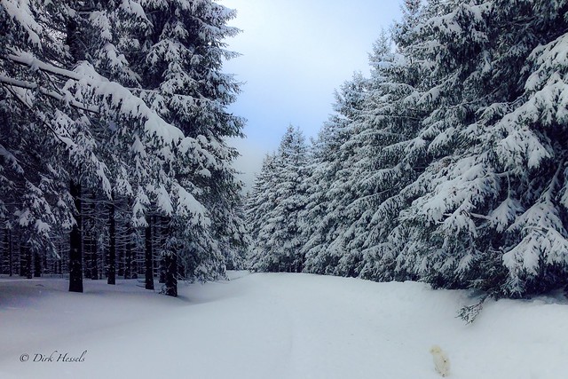 Winter im Harz | Winter in the Harz, Deutschland 2015