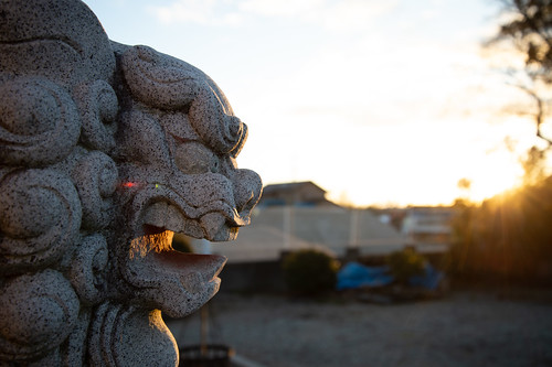komainu guardiandog statue stone stonestatue morning sunrise sunlight dawn akibashrine ichiriyamaarea shintoshrine shinto shrine kariya aichi japan nikon nikondf afsnikkor2485mmf3545gedvr