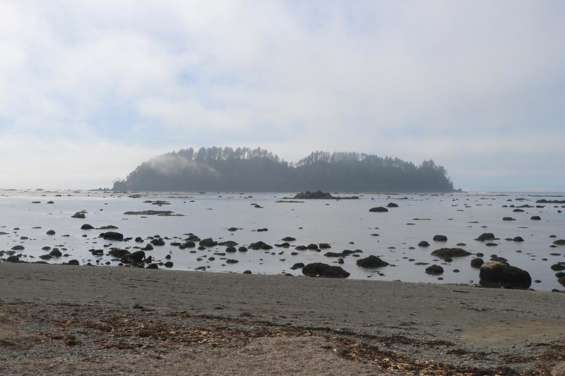 The coastal mist cleared enough for Ozette Island to become visible as a silhouette, from Cape Alava Campground