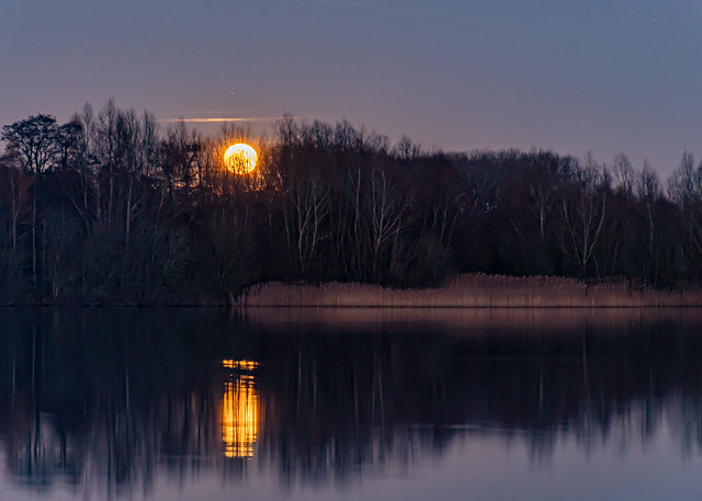 Moonrise Over Lynford Lakes