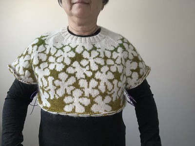 Here is my progress shot on Sunday of my Drawing Sweater. by Tomomi Yoshimoto.