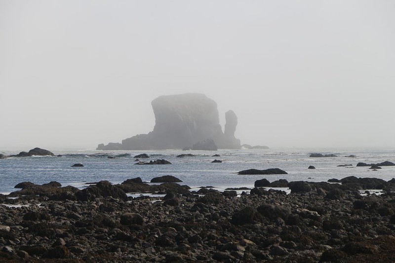 A rocky Island appeared just offshore in the mist as we hiked south toward the Wedding Rocks
