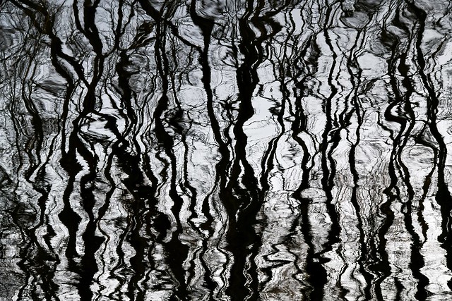 Winter treeline reflected on a disturbed Erie Canal surface