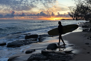 Early Morning Surfer Girl