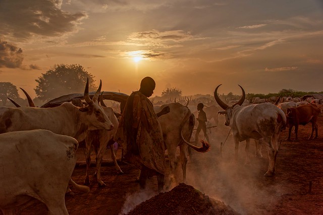 Cattle Camp, Sth Sudan