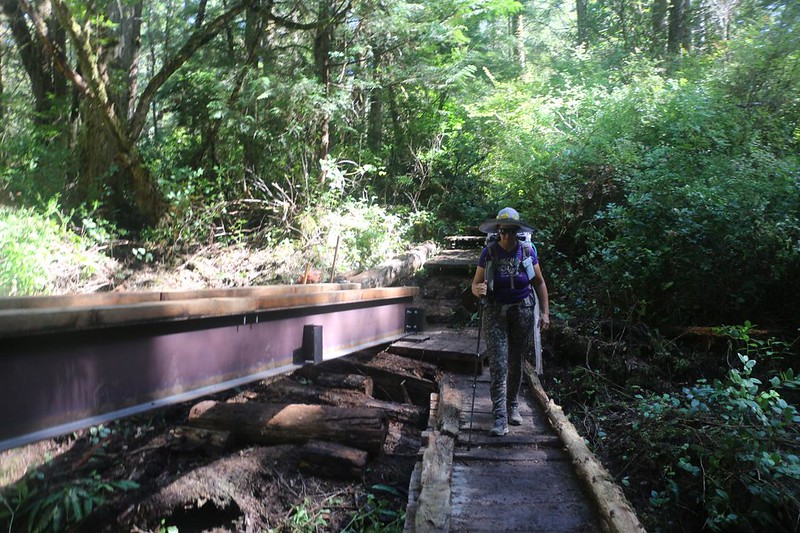 There were several work crews in the forest on the Cape Alava Trail working on installing the new foot bridges