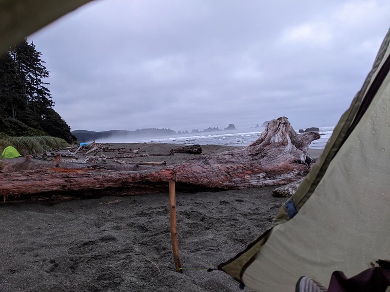 View out our tent door looking south along Shi Shi Beach on a misty morning - everything was soggy and damp