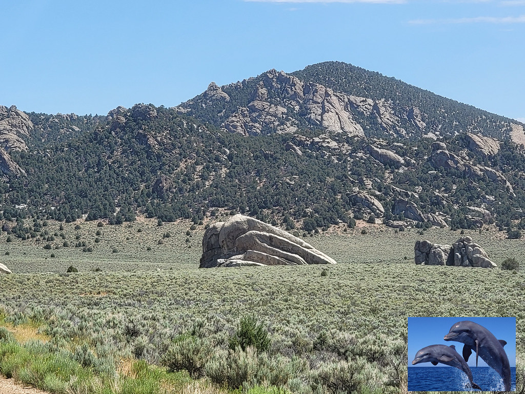 Register Rock