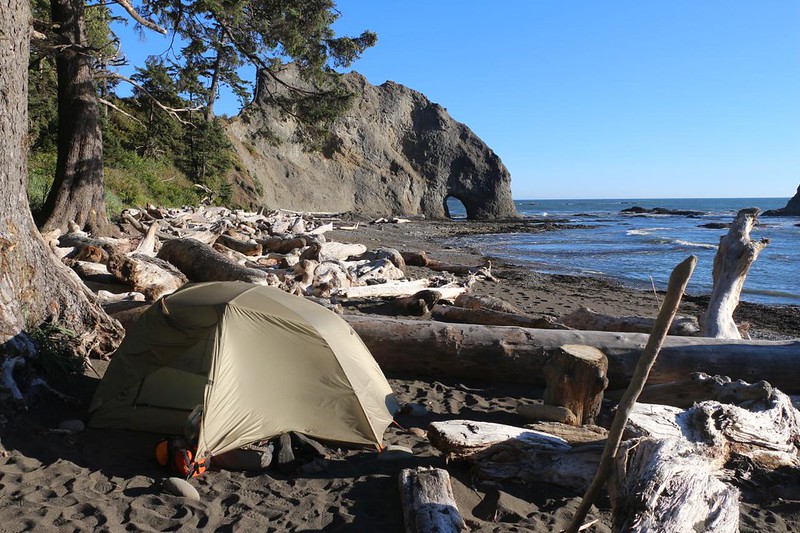 Back in camp, this is our tent nestled within the driftwood, with Hole In The Wall just south of u