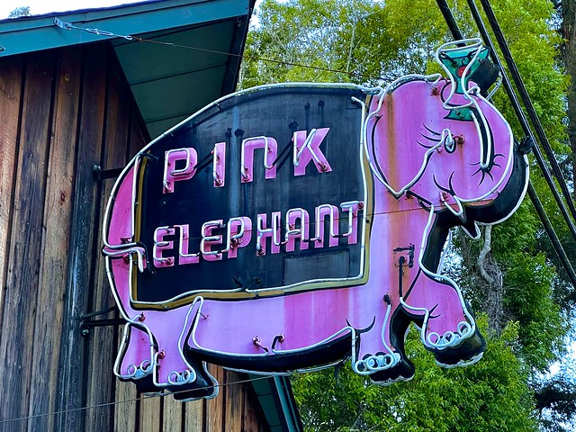 pink elephant...
