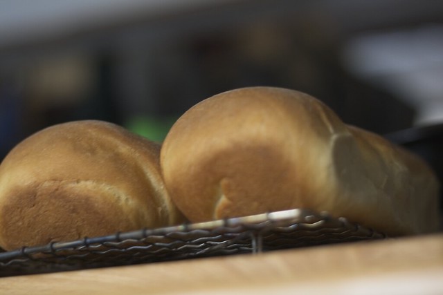 Buns as photographed by a child