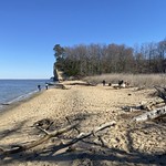 Fossil Beach Fossil Beach is a popular spot to look for shark&#039;s teeth, Westmoreland State Park, Montross, VA