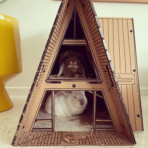 Buns in the Playframe