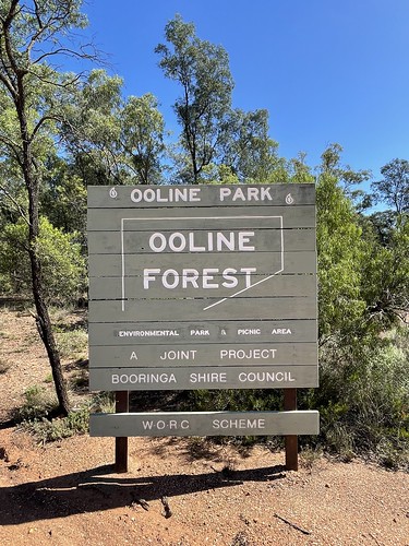 Ooline Forest Park