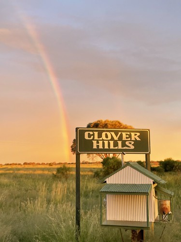 Clover Hills Rainbows