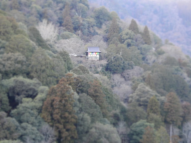 Daihikaku Senkōji Temple
