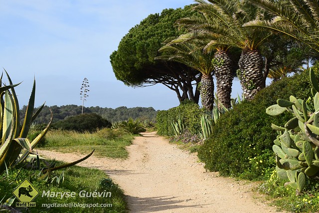 Alvor, Algarve, Portugal