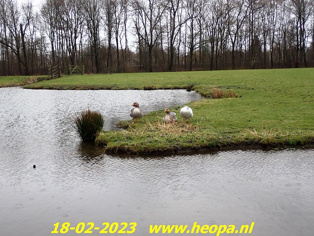 2023-02-18 Woerden - Rs'80  (10)