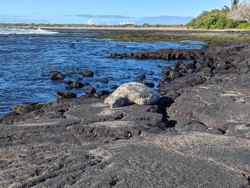 Kaloko-Honokōhau National Historical Park | 01/03/2023, at K… | Flickr