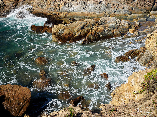Point Lobos 230219-04