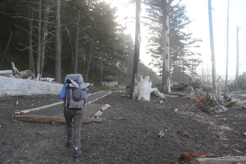 It was still early when we made it back to the trailhead at Rialto Beach, but that was OK as we still had a lot to see!