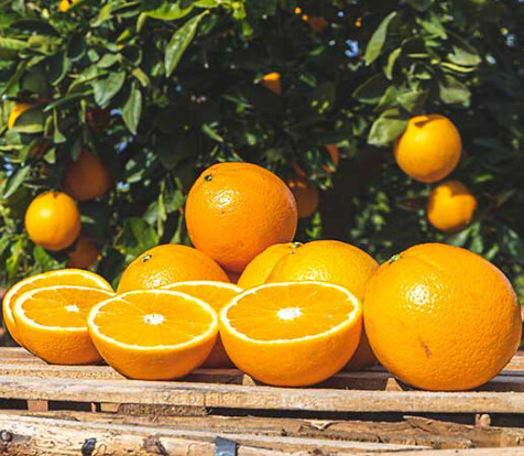 Tipos de naranjas que igual desconoces