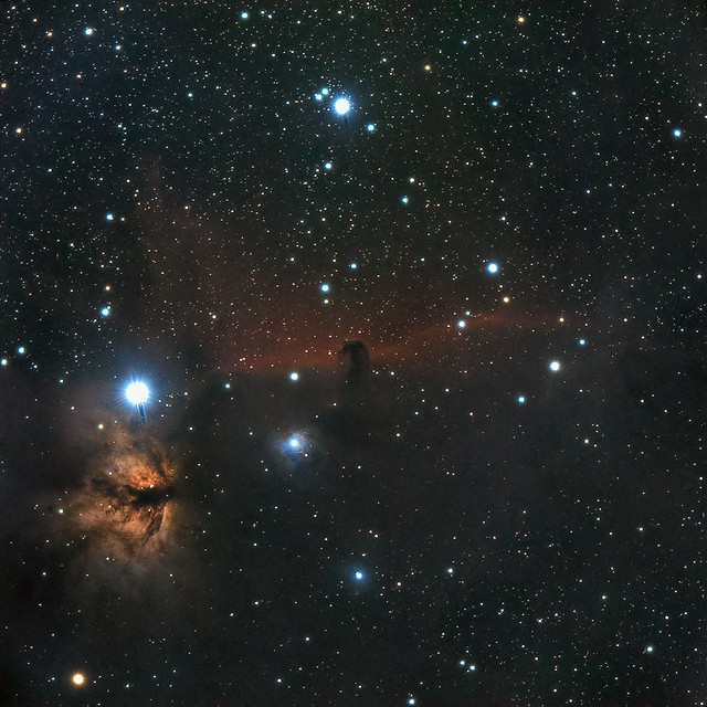 Horsehead and Flame Nebulae