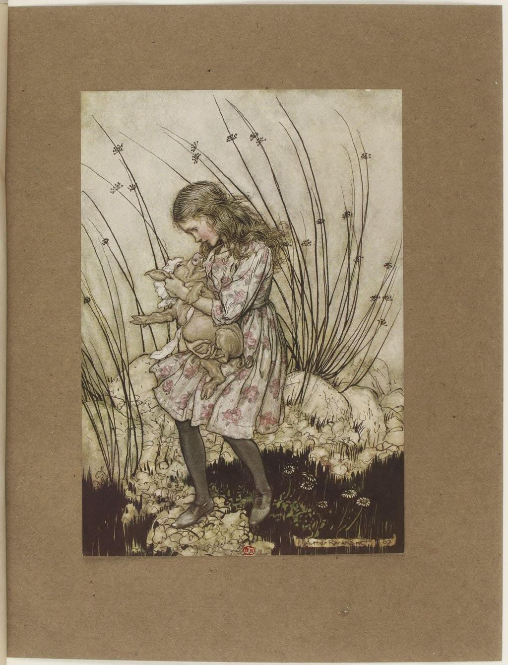 Aventures d'Alice au pays des merveilles par Lewis Carroll ; illustrées par Arthur Rackham ; 1908 | src BnF