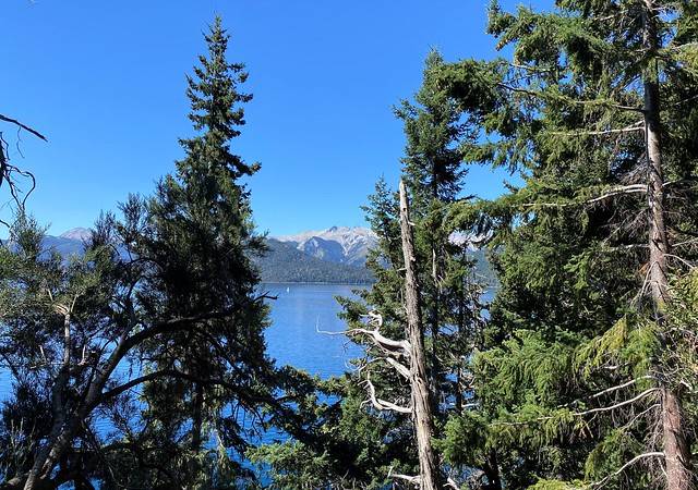 Aurelio Pargade Trail, Victoria Island, Nahuel Huapi lake, San Carlos de Bariloche, Argentina.
