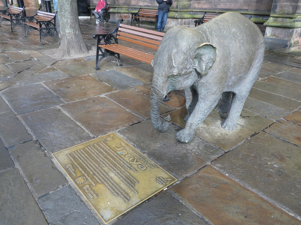 Janya, The Elephant, outside Chester Town Hall