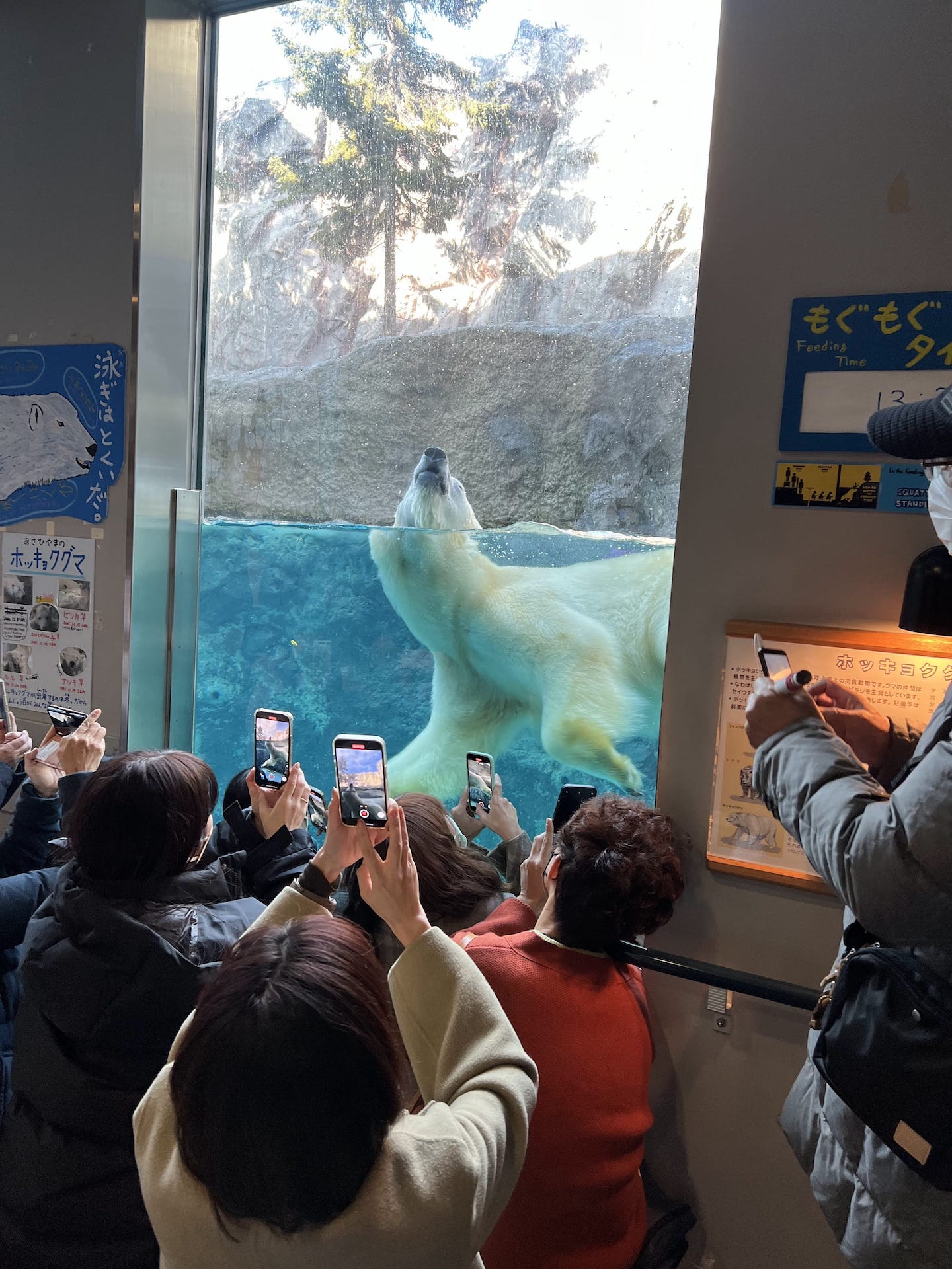 旭山動物園,北海道,2023