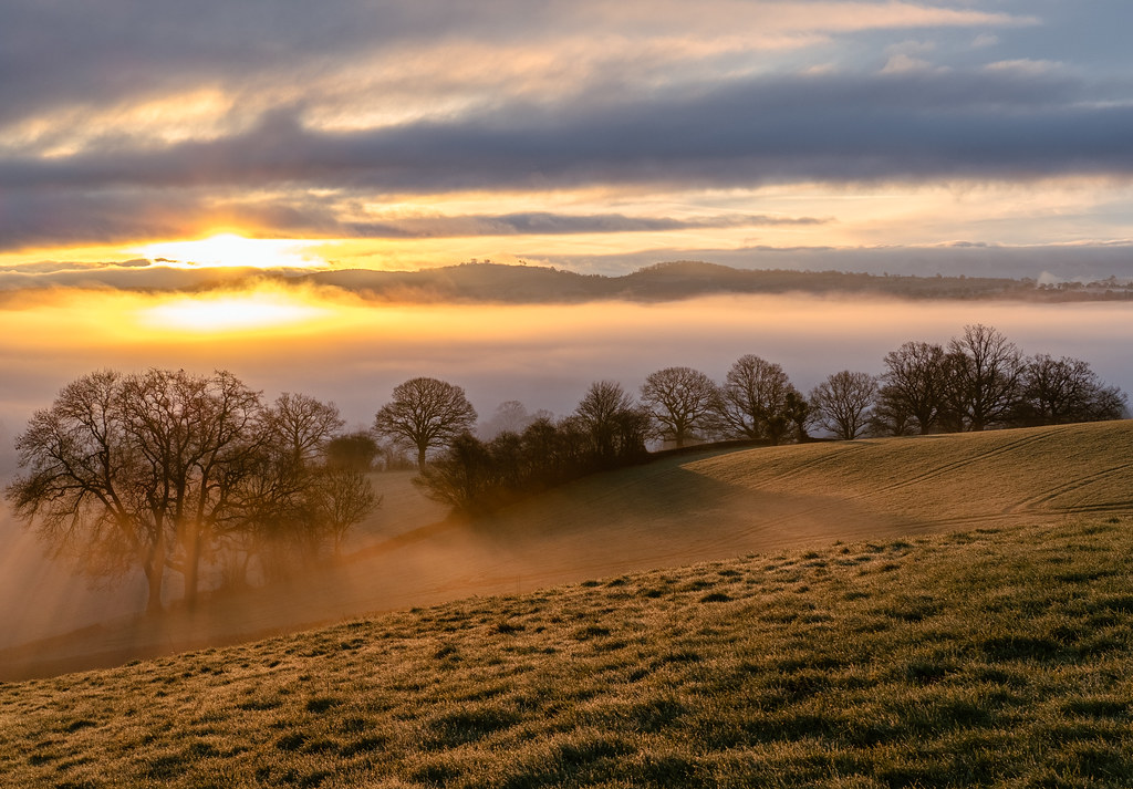 A photo looking over a hill of grass, past the silhouettes of some trees, to a valley full of fog. The sun is rising behind a hill in the distance, rays of light shining through the trees' branches.