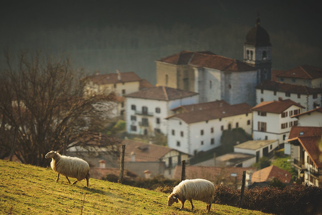 Estampa Baztanesca