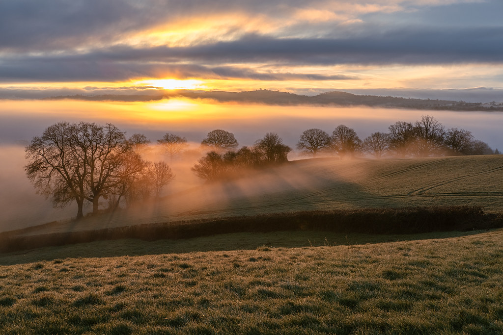 A photo looking down across a field towards trees. The sun rises behind bands of clouds, lighting up the fog that lingers between the trees.