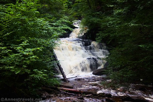 Mohican Falls in Ganoga Glen along the Falls Trail in Ricketts Glen State Park, Pennsylvania