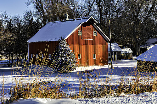 snow nature photography landscapes nebraska barns winterscene 2023 photo artistic picture photograph photographicart photoart dsc04586 elpeterso field farm crops agriculture barnyard countryscene agriculturebuilding midwestfarm farmbarns nebraskabarns midwestbarns