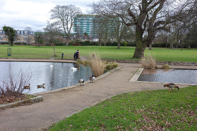 Enfield Town Park pond