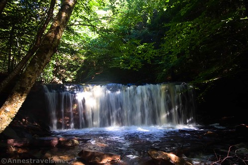 Oneida Falls in Ganoga Glen along the Falls Trail in Ricketts Glen State Park, Pennsylvania