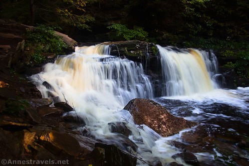 Cayuga Falls in Ganoga Glen along the Falls Trail in Ricketts Glen State Park, Pennsylvania