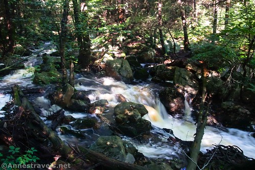 Cascades in the creek above the first waterfall in Ganoga Glen along the Falls Trail, Ricketts Glen State Park, Pennsylvania