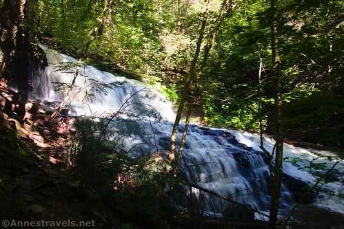 Mohawk Falls in Ganoga Glen along the Falls Trail, Ricketts Glen State Park, Pennsylvania